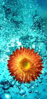 Orange flower submerged in vibrant blue bubbles