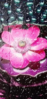 A vibrant pink flower in a bowl with glistening water droplets on a dark backdrop.