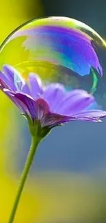 Purple flower with a rainbow-colored bubble against a bright background.