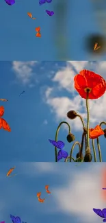 Vibrant wallpaper with poppies and butterflies against a blue sky.