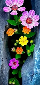 Colorful flowers growing through a stone crevice with blue rocks.