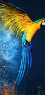 Vibrant parrot with splashes of color on a blue background.