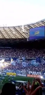 Cheering crowd in vibrant football stadium with flags waving.