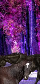 Majestic horses in a purple forest.