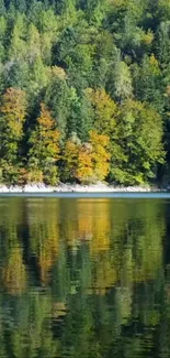 Tranquil forest reflection on a serene lake in vibrant colors.