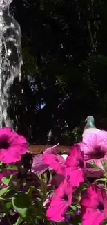 Magenta flowers and fountain in vibrant garden setting.