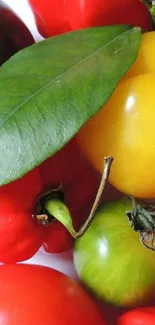 Colorful mix of tomatoes and peppers