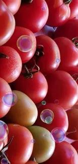 Mobile wallpaper with vibrant ripe tomatoes in a rustic setting.