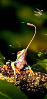 Frog on branch reaching for dragonfly in lush green setting.