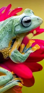 Green frog perched on a vibrant pink flower in vivid colors.