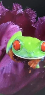 Vibrant green frog on a large purple flower.