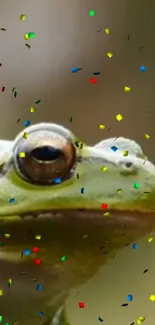 Close-up of a frog with colorful confetti.