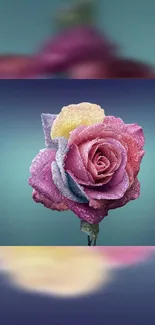 Vibrant frosted rose with gradient backdrop.