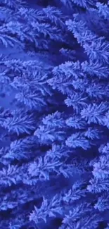 Vibrant frosty blue nature-inspired wallpaper for mobile devices.