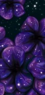 Purple flowers with stars on a dark background, creating a cosmic aesthetic.