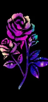 Vibrant galaxy rose on a dark background.