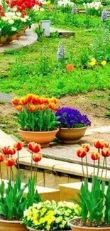 Vibrant garden with tulips in terracotta pots.