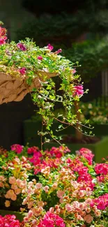 Vibrant garden with pink and red flowers overflowing from a stone urn.