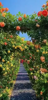 Lush garden path with vibrant roses under a clear blue sky.