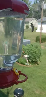 Hummingbird feeder with garden view and red accents.