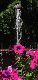 Vibrant garden fountain with pink flowers.