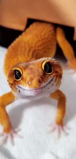 Close-up image of an orange gecko with a focus on its expressive eyes.