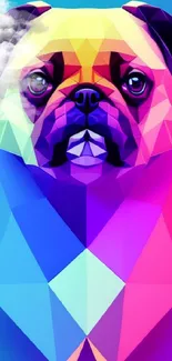 Vibrant geometric pug wallpaper with colorful low poly design.