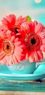 Vibrant pink gerbera flowers in a turquoise cup.