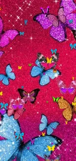 Colorful glitter butterfly wallpaper with a pink and blue sparkling background.