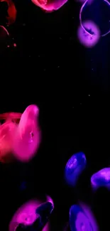 Vibrant glowing jellyfish in neon shades against a dark backdrop.