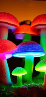 Vibrant glowing mushrooms in colorful hues.