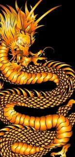 Golden dragon art on dark background for mobile wallpaper.