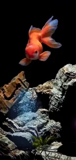 Goldfish swimming in an aquarium with rocks and subtle lighting.