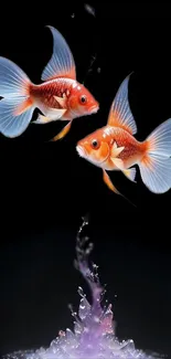 Artistic wallpaper of two vibrant goldfish against a black background.