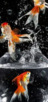 Three vibrant goldfish leap and swim in a glass bowl against a black background.