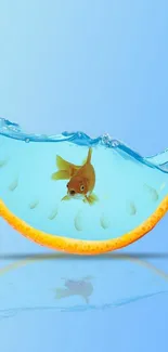 Goldfish swimming in a blue water-filled orange slice on a sky blue background.