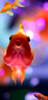 Colorful goldfish swim in vibrant wallpaper with a glowing aquatic background.