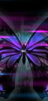 Gothic butterfly wallpaper with purple hues on a dark background.