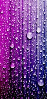 Vibrant gradient wallpaper with bubbles transitioning from pink to blue hues.