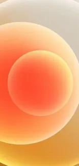 Vibrant gradient wallpaper with orange and yellow circles.