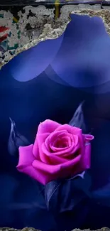 Purple rose with graffiti background art.