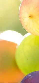 Close-up of vibrant grapes in sunlight, showcasing vivid colors and textures.