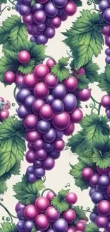 Vibrant wallpaper with clusters of purple grapes and green leaves.
