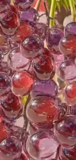 Close-up of vibrant, juicy grapes on a vine.