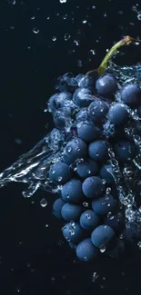 Dark blue grapes with water splash on mobile wallpaper.