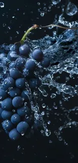 Dark blue grapes with a water splash on a mobile wallpaper.