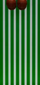 Green striped wallpaper with basketball accents.