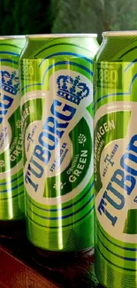 Vibrant green Tuborg beer cans in a colorful display.