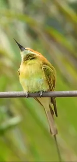 Green bird perched on wire in vibrant nature scene.