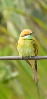 A vibrant green bird perched on a branch amidst lush greenery.